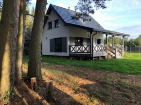 Młyńska Chata - drewniany, całoroczny dom w sosnowym lesie in Czarny Młyn